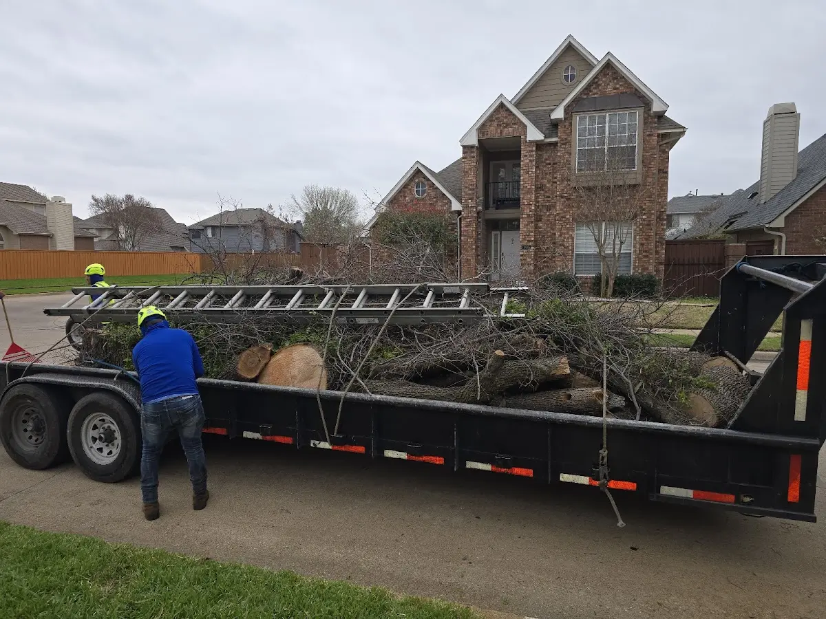 Expert Tree Removal with proper safety equipment in Riverdale